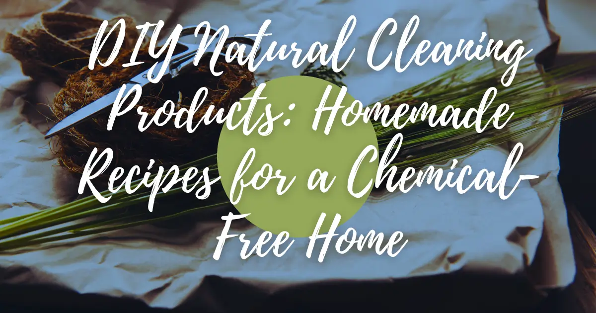 DIY Natural Cleaning Products Homemade Recipes for a ChemicalFree Home
