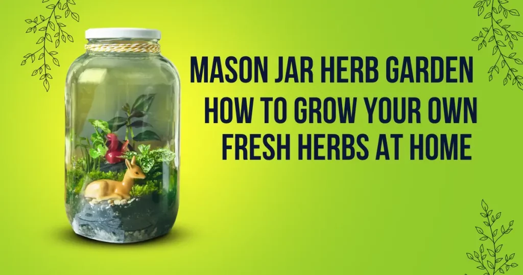 Mason Jar Herb Garden - How to Grow Your Own Fresh Herbs at Home